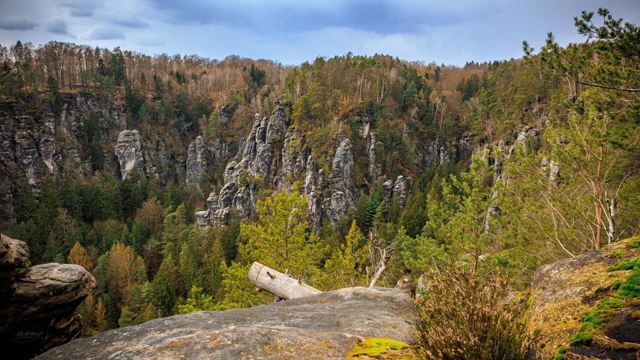 Ferienwohnung Zum Sebnitzer Hirsch Zewnętrze zdjęcie