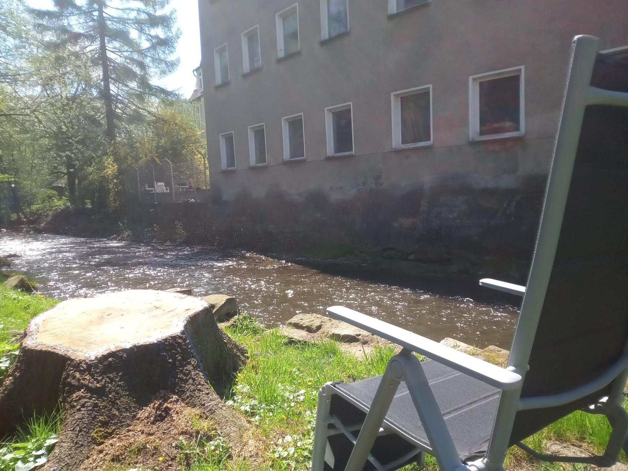 Ferienwohnung Zum Sebnitzer Hirsch Zewnętrze zdjęcie